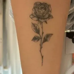 Rosa Tattoo