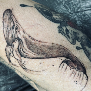 Wahl Tattoo 